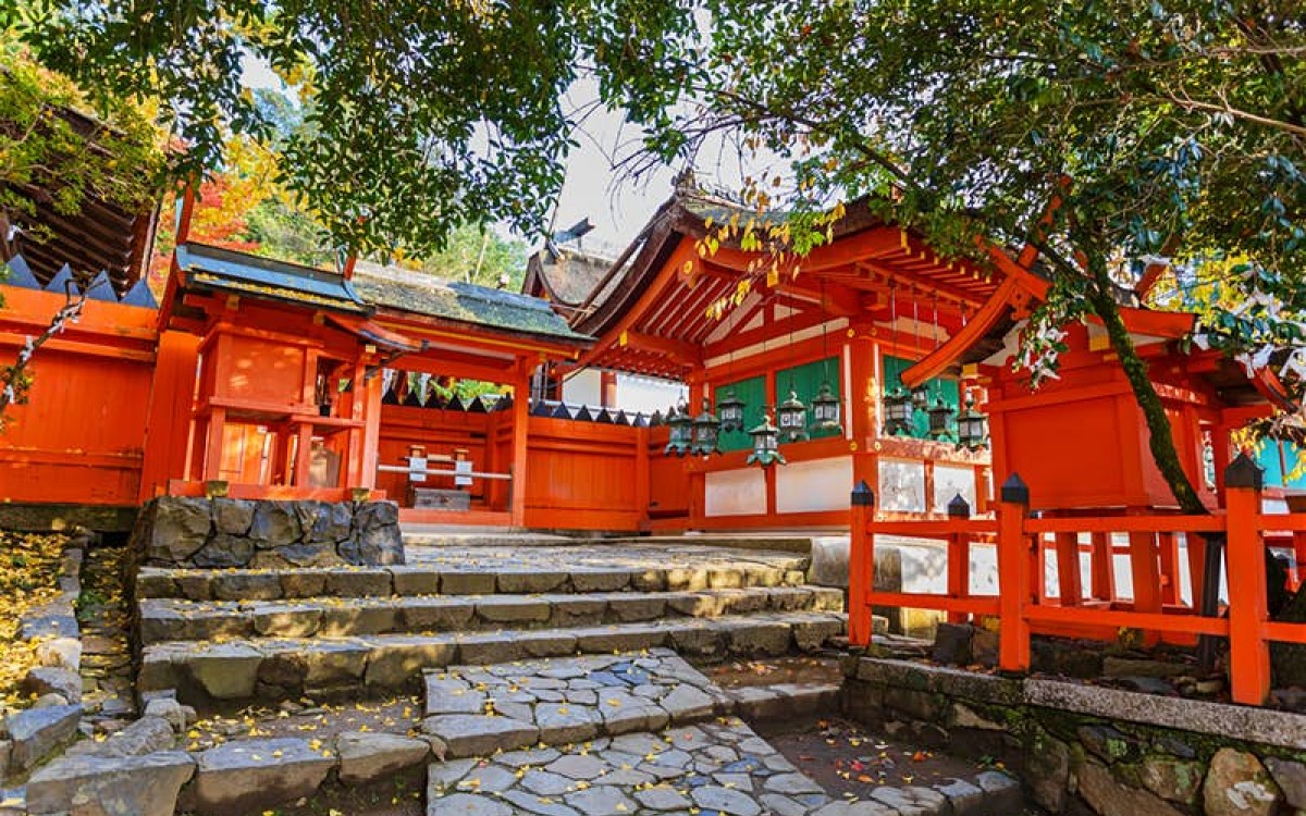 tour Osaka – Nara – Kyoto – Fuji Mountain – Oshino Hakkai – Tokyo 6 ngày 5 đêm 3